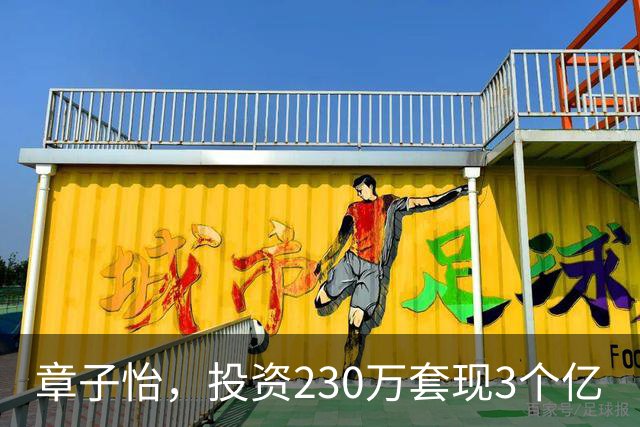 章子怡，投资230万套现3个亿